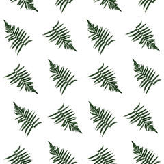 Seamless pattern with fern leaves isolated on white - background with diagonal ornament for natural fabric design