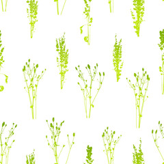 Seamless pattern with silhouettes of green wild herbs isolated on white - natural background for fabric design