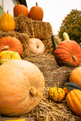Pumpkins and hay