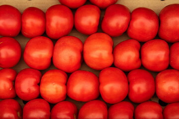 fresh tomatoes in a box