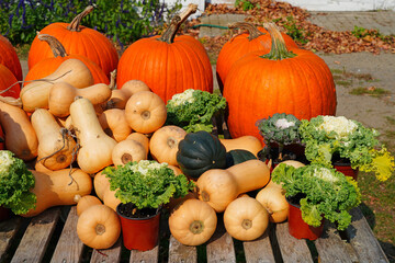 Decorative display of pumpkins, squashes and flowers in the fall