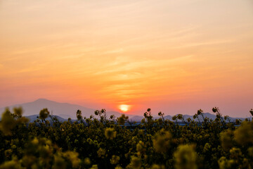 Sunset horizon sea water landscape
