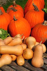 Decorative display of pumpkins, squashes and flowers in the fall