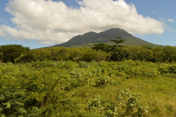 Fototapeta premium The beautiful paradise beaches on the St Kitts And Nevis Islands in the Caribbean Ocean