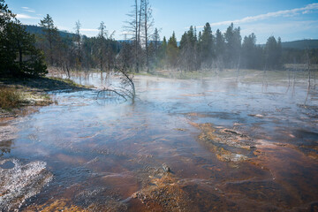 Fototapeta premium hydrothermal areas of upper geyser basin in yellowstone national park, wyoming in the usa