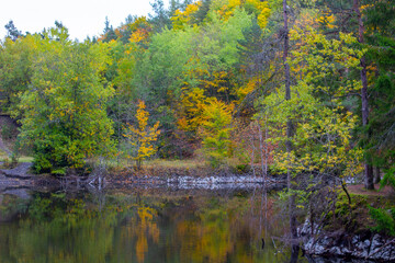 Sumpf in der Röhn im Herbst