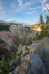 lower falls of the yellowstone national park from artist point at sunset, wyoming, usa