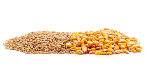 Grain wheat and corn.