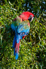 Fototapete bei efototapeten.de bestellen   