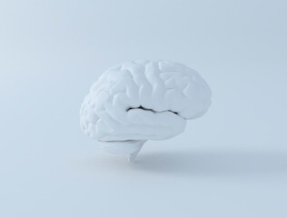 Human Brain 3D Isolated Illustration. Science Anatomy Background.