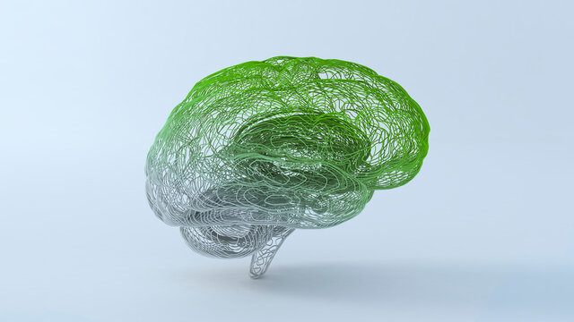 Human brain abstract lines connected neuron network. 3d illustration