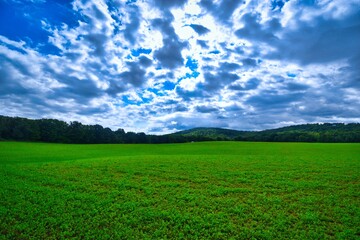 green field and blue sky