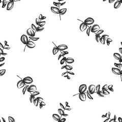 Seamless pattern with black and white eucalyptus