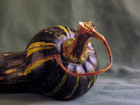 Auyama, alimento puro y saludable