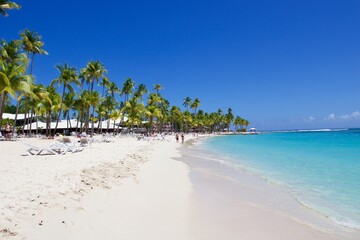White sand beach with palm trees, Plage de la caravelle, Guadeloupe, French Antilles 