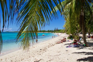 Fototapeta na wymiar Palm trees on the tropical beach of Anse Bertrand, Guadeloupe 