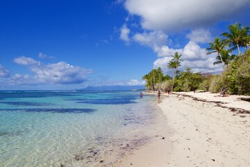 Tropical and exotic beach, Guadeloupe 