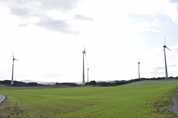 herbstliche Eifel mit Allee und Windanlagen
