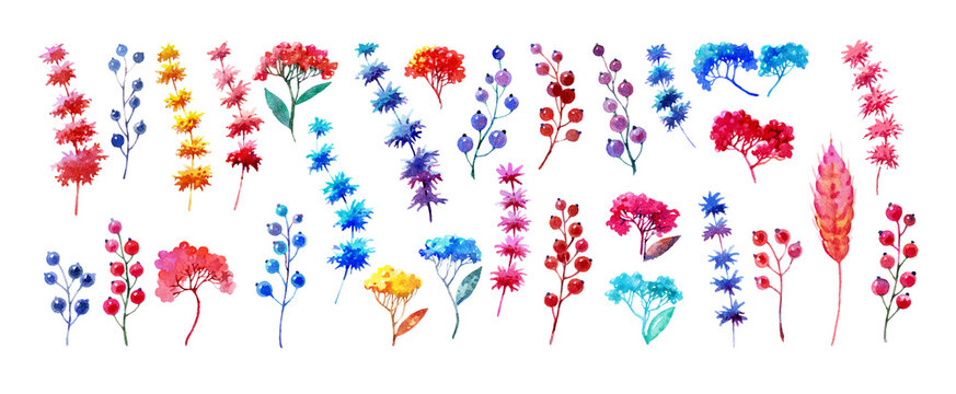 Flowers, stems and leaves set for creativity. Collection of plants drawn in watercolor. Colorful plants painted in watercolor. Flowers and plants. Watercolor floral illustration set.