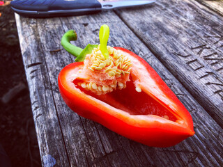 red chili pepper