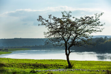 Beautiful and wild nature in Europe.  Colored and amazing landscape in Moldova.