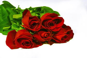 Bouquet of five red roses isolate on a white background.