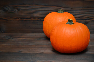 two ripe bright pumpkins on a dark wooden background and copy space