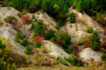 Beautiful and wild nature in Europe.  Colored and amazing landscape in Moldova.