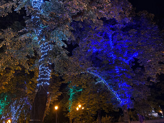 Night view of Deribasovskaya street in Odessa, Ukraine 2020. Popular touristic european destination. Odessa city view