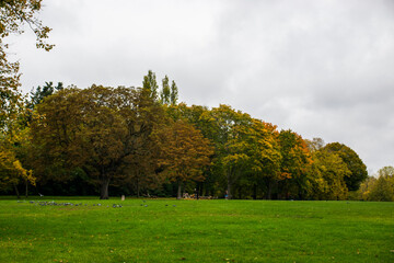 Naklejka premium Photo of a autumn forest without people. Full of trees of different colours, yellow, green, orange. October weather, cozy inspiration. Leaves falling