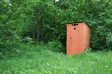one toilet in a green forest in summer