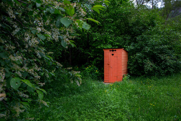 one toilet in a green forest in summer