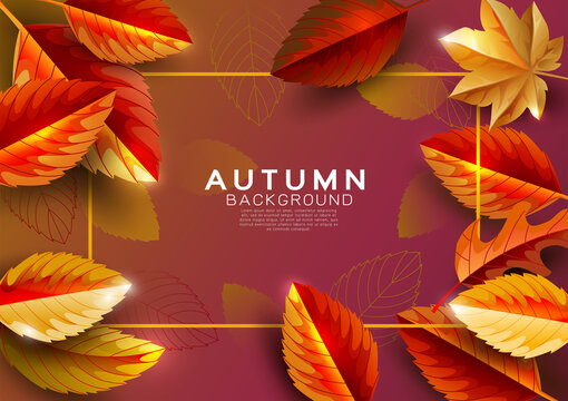 Autumn background decorate with fall leaves and space text. Autumn luxury template for shopping sale promotion, poster, leaflet, web banner, greeting card and festival invitation. Vector illustration.