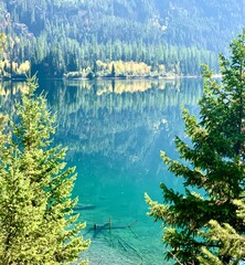 lake and forest