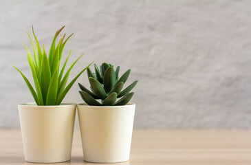 Two small pots of artificial succulents on a light table or shelf against the wall in the room.Copy of the space.