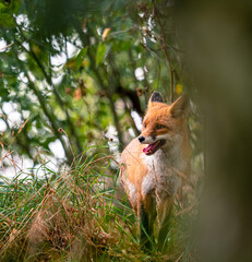 OLYMPUS DIGITAL CAMERA © Czesaw