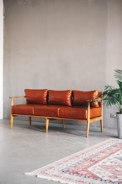 Interior Detail Of Modern Living Room With Brown Leather Sofa And Home Plants.