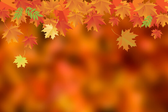 Beautiful autumn background with falling orange leaves stock images. Autumn falling maple leaves decorative frame. Autumn border with copy space fort text. Floating red orange autumn leaves background