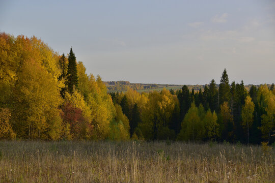 A riot of colors in the Ural forest. Autumn is in full swing in the foothills of the Western Urals.