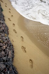 footprints in the sand at the seaside