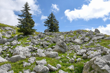 Lac de Peyre, Alpes du Sud, France