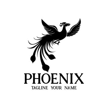 phoenix design logo vector. illustration phoenix logo template