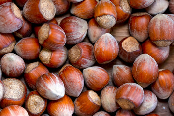 Macro shots, Beautiful HAZELNUT – Stock Image