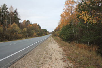road in autumn