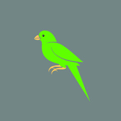 illustration of a bird