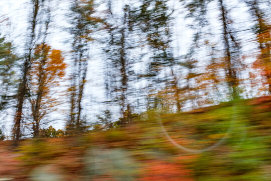 fall trees motion blur abstract background