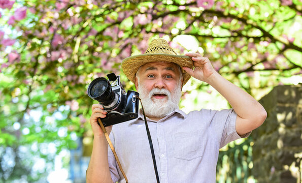 Amazing summer. photographer taking photo of apricot bloom. spring season with pink flower. old man watch young plants. photographer man take sakura blossom photo. Cherry blossoming garden