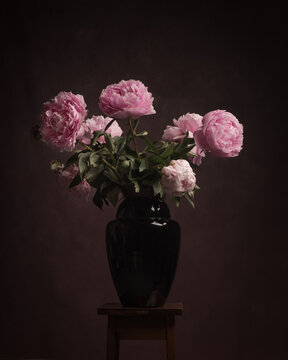 Classic studio still life of pink roses peonies bouquet in vase in dark Rembrandt style