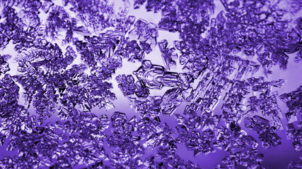 Ice crystals close-up on a window glass in winter. Tinted purple translucent background or wallpaper. Frozen water. Violet mystical fabulous abstract pattern. Strong macro