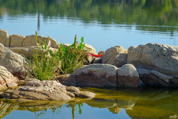 Rocky river bank. Beautiful landscape